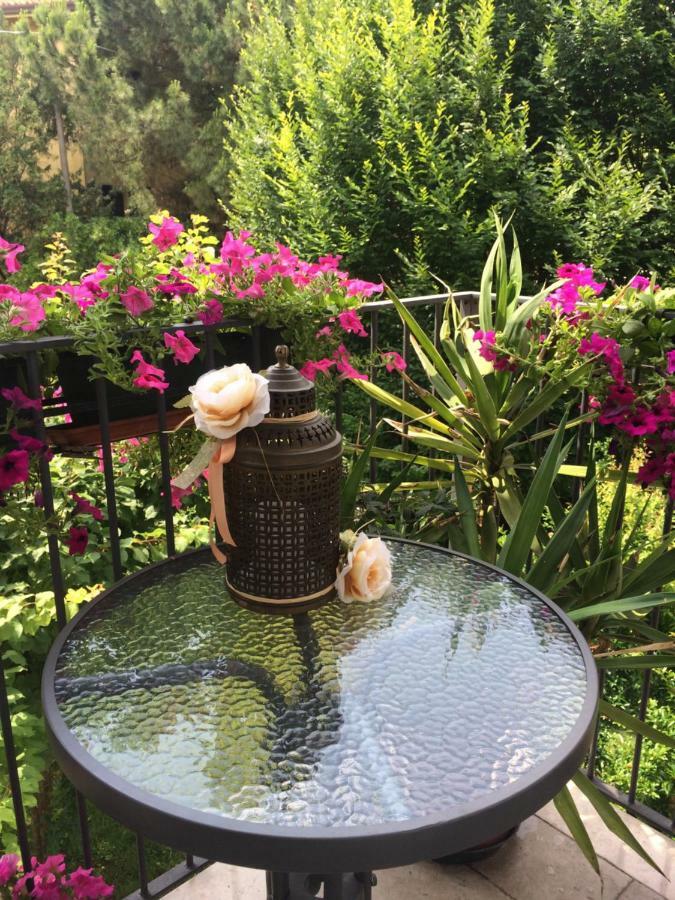 Bed & Breakfast Canova Treviso Exterior foto